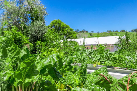 Coorabell Cottages - Stays Accommodation 3