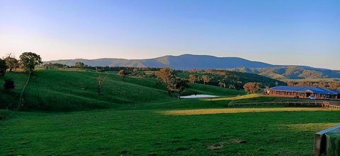 Country Budget - Stayed 1