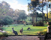 Book Hepburn Accommodation Vacations Stayed Stayed