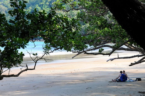 Cow Bay Homestay B&B - Stays Accommodation 1