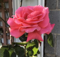 Cozy Luxury Suit With Separate Entrance