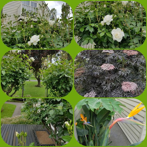 Creek Cottage Bed And Breakfast - Stayed 3