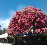 Crossways Country Inn - Stayed