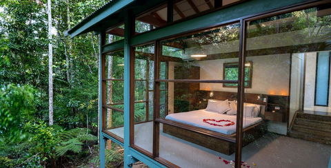 Crystal Creek Rainforest Retreat - Stayed 3
