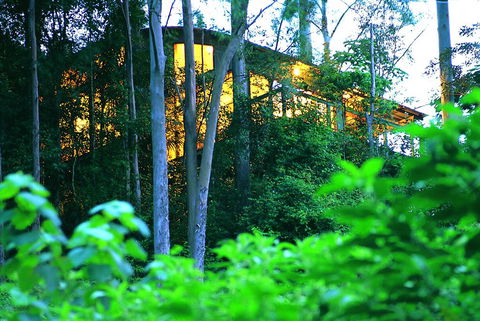 Crystal Creek Rainforest Retreat - Stayed 1