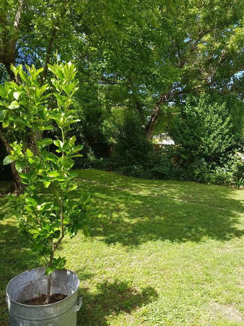 Cute Cottage On Byng - Walk To Town AND Pet Friendly - Stayed 3