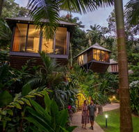 Daintree Ecolodge - Stays Accommodation