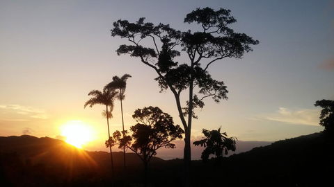 Daintree Holiday Homes - Yurara - Stays Accommodation 0