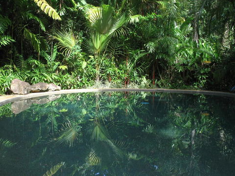 Daintree Rainforest Retreat Motel - Stays Accommodation 0