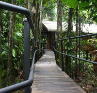 Daintree Wilderness Lodge - Stays Accommodation