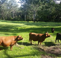 Dingley Dell - Stayed