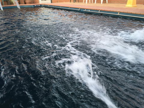Dragon Phoenix Resort - Stayed 1