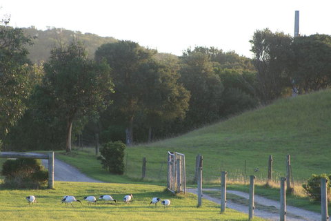 Driftwood Villas - Stayed 1