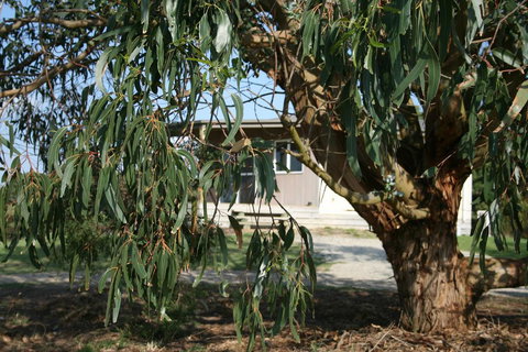 Driftwood Villas - Stayed 3