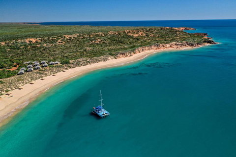 Eco Beach Resort - Stays Accommodation 1