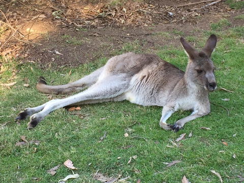 Eden Golf View Motel - Stayed 2