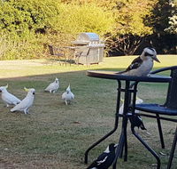Eildon Parkview Motor Inn - Stayed