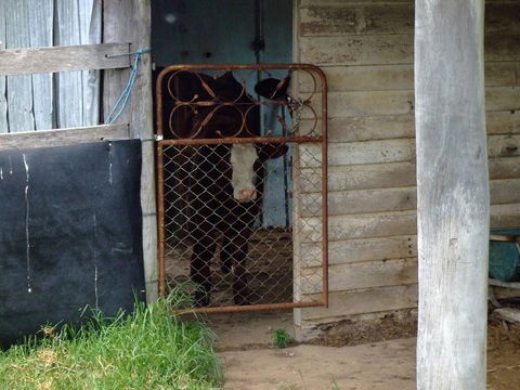 Escape To The Country - Enjoy The Firepit Or Explore Magical Bunya Mountains - Stayed 3