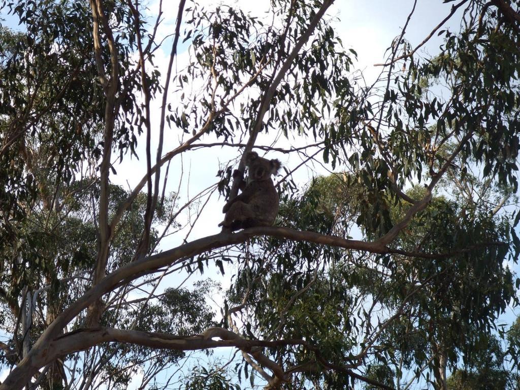 Kilbirnie QLD Stayed