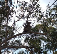 Escape to the Country - Enjoy the firepit or explore magical Bunya Mountains - Stayed