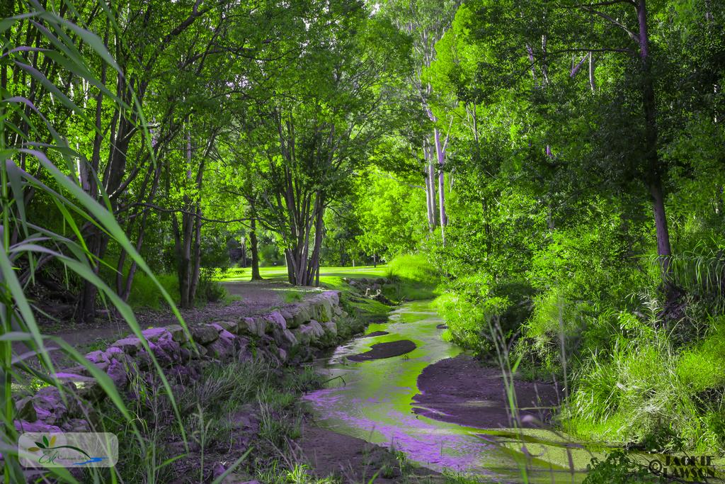Redbank Creek QLD Stayed