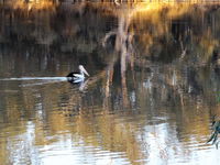 Book Euston Accommodation Vacations Stayed Stayed