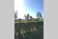 Book Benalla Accommodation Vacations Stayed Stayed