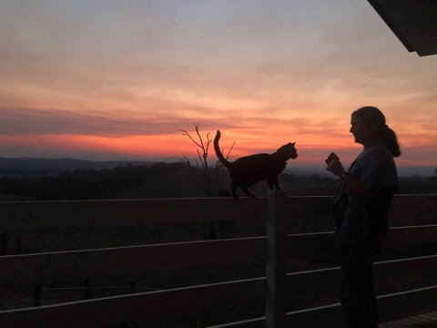 Farringdon Homestead - Stayed 1