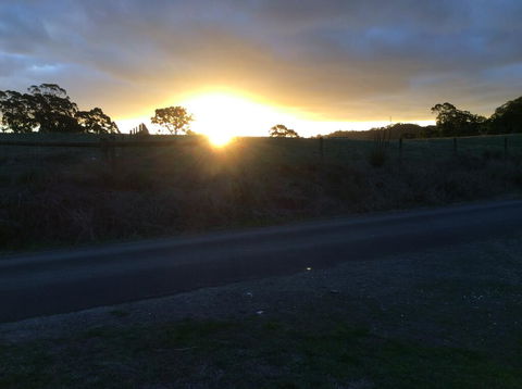 Forrest Willy Wagtail Studio - Stayed 1