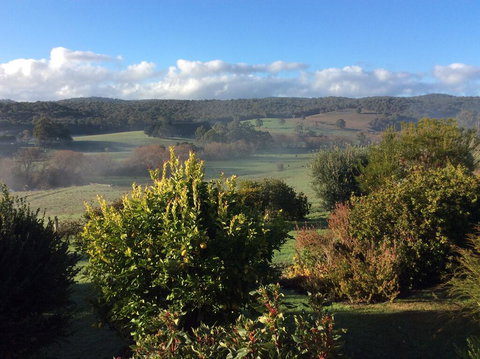 Forrest Willy Wagtail Studio - Stayed 3