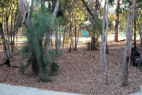 Frasers Landing Lifestyle - Stays Accommodation 2