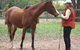 Fullcircle Farm - thumb 2