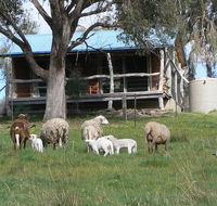 Gaddleen Grove Cottages - Stayed
