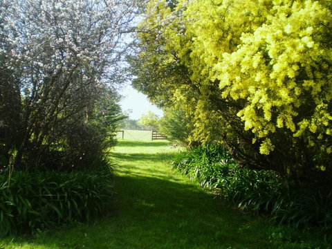 Galwiji Homestead - Stayed 3