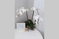 Gawler Heritage Accommodation