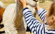 Glenview Alpaca Farm - thumb 3