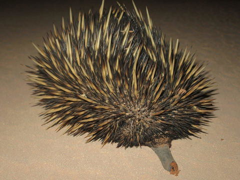 Gnaraloo Station - Homestead - Stayed 3