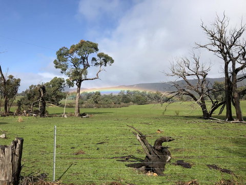 Grampians Old Man Emu Stay - Stayed 2