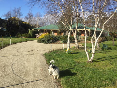 Green Gables B&B - Stayed 1