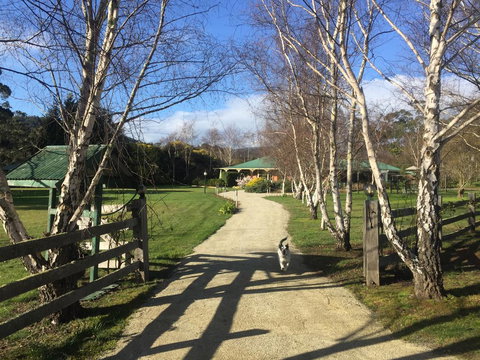 Green Gables B&B - Stayed 0