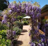 Gumtree House Montville - Stayed
