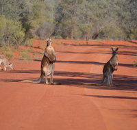Gundabooka National Park Cottages