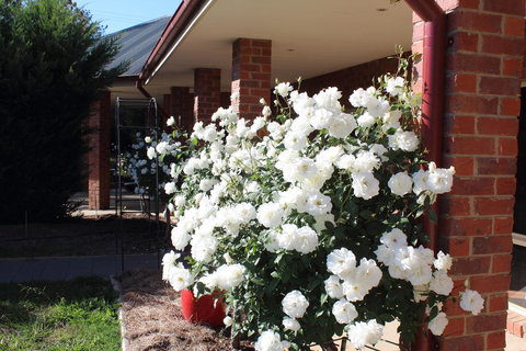 Gundaroo Manor Bed & Breakfast - Stays Accommodation 3