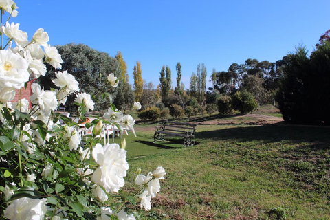 Gundaroo Manor Bed & Breakfast - Stays Accommodation 2
