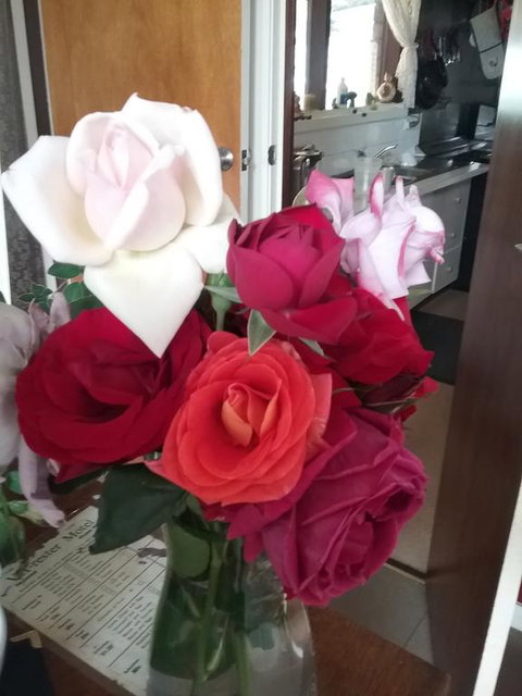 Heywood Motor Inn - Stayed 2