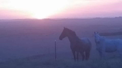 High View Family Cottages - Stayed 1