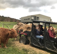 Highland Getaway - Stayed