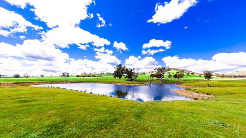 Hillview Farmstay - Stayed 0