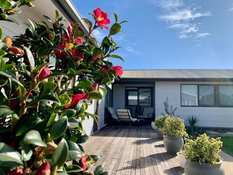Homely Getaways In Surf Beach - Pet Friendly - Stayed 0