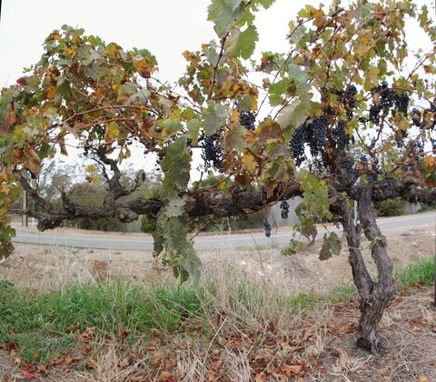 Horrocks Road Lodge - Stayed 3